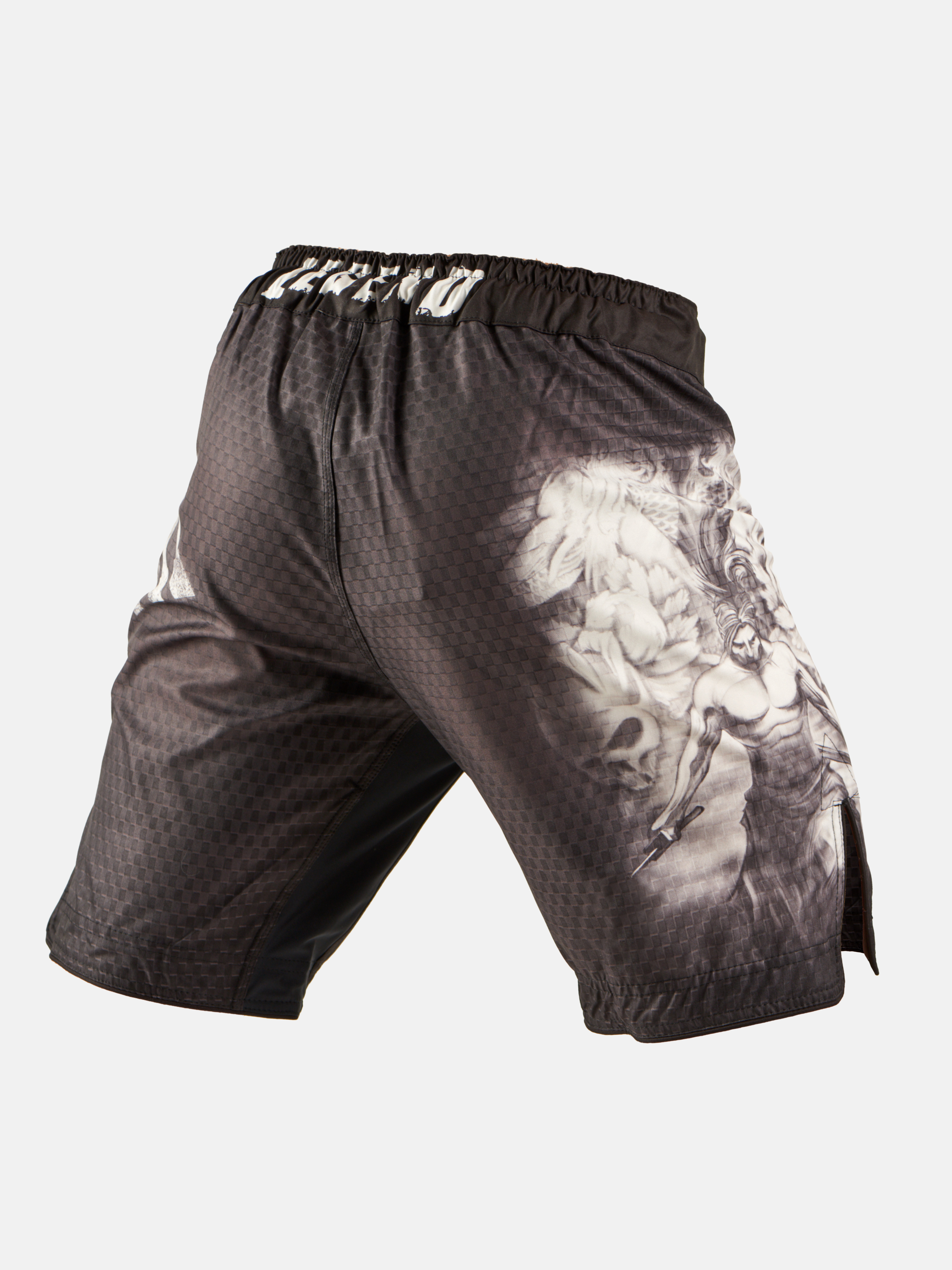 Peresvit Samurai Fury Fightshorts, Photo No. 4