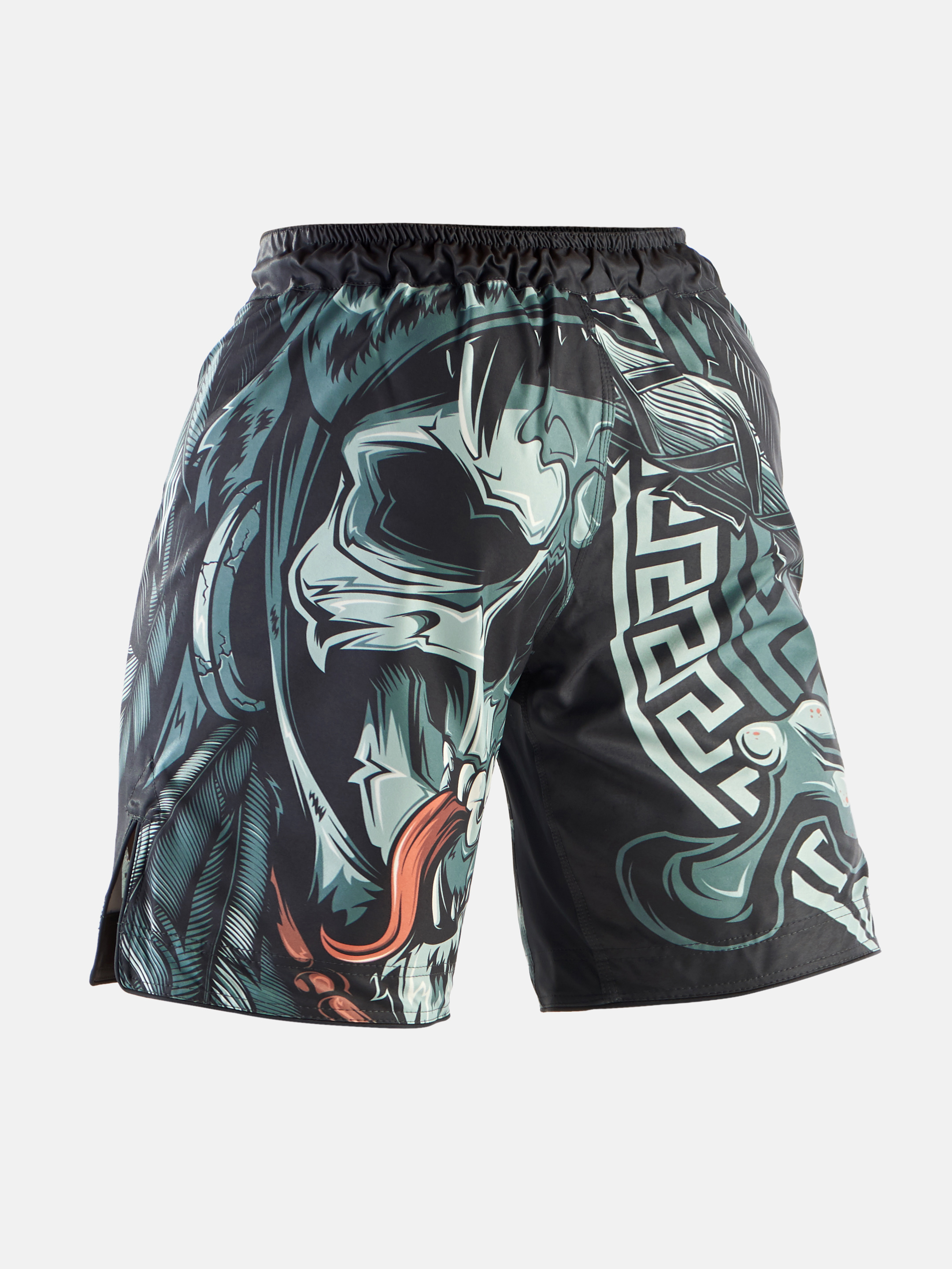 Peresvit The Chief MMA Fight Shorts, Photo No. 2