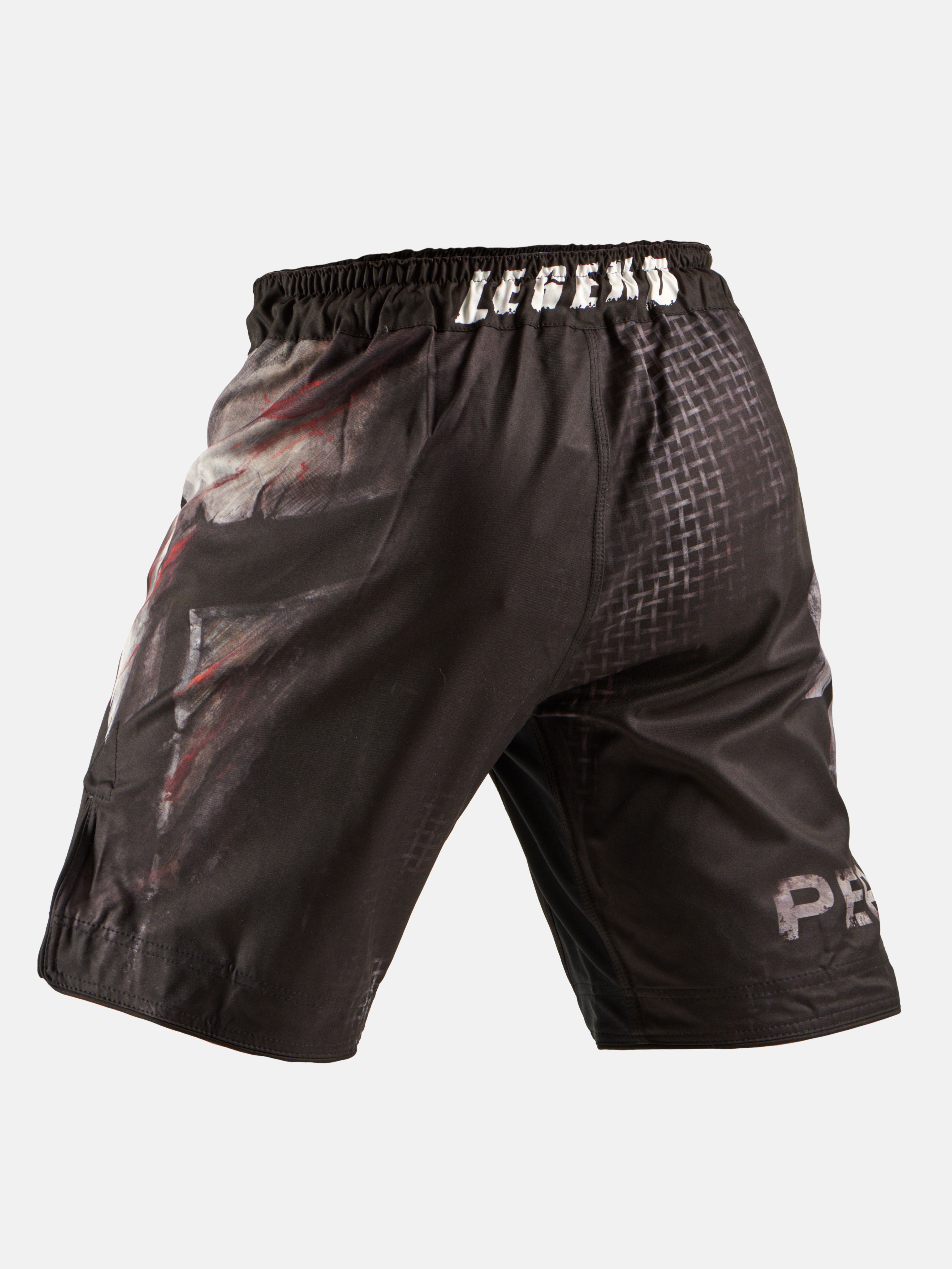 Peresvit Last Stand Fightshorts, Photo No. 3