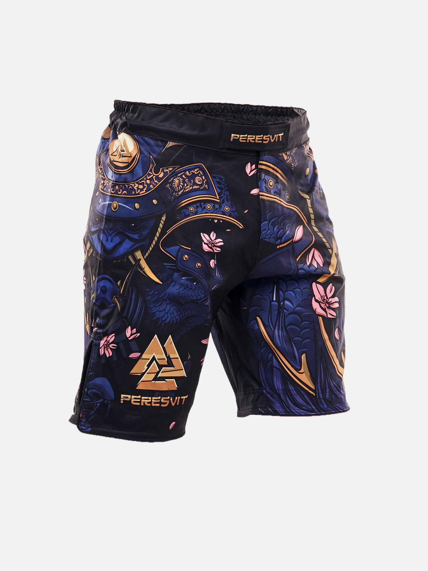 Peresvit Bushi Legend Fight Shorts, Photo No. 3